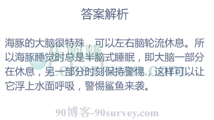 哪种海洋动物可以用左右脑交替休息?