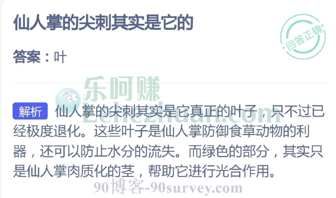 仙人掌的尖刺其实是它的?