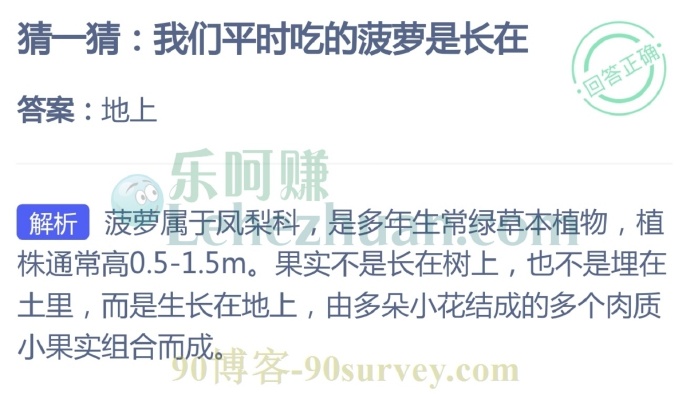 我们平时吃的菠萝是长在哪里?