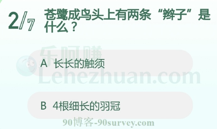 苍鹭成鸟头上有两条“辫子”是什么?
