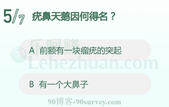 疣鼻天鹅因何得名?