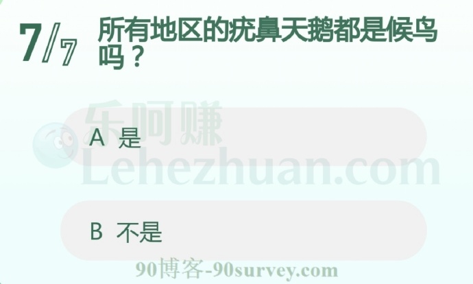 所有地区的疣鼻天鹅都是候鸟吗?