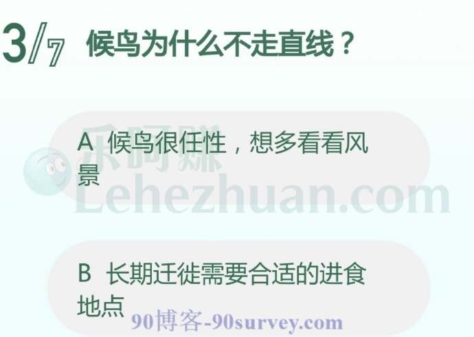候鸟为什么不走直线?