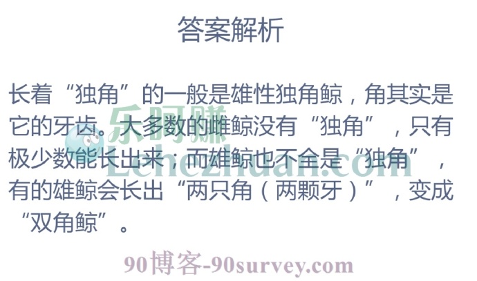 所有独角鲸都长有独角吗?