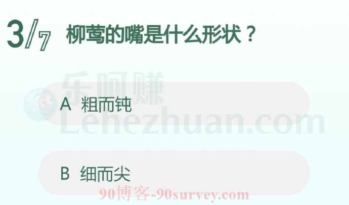 柳莺的嘴是什么形状?