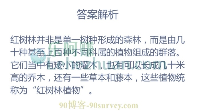 组成“海岸卫士”的红树林是某一种树吗?