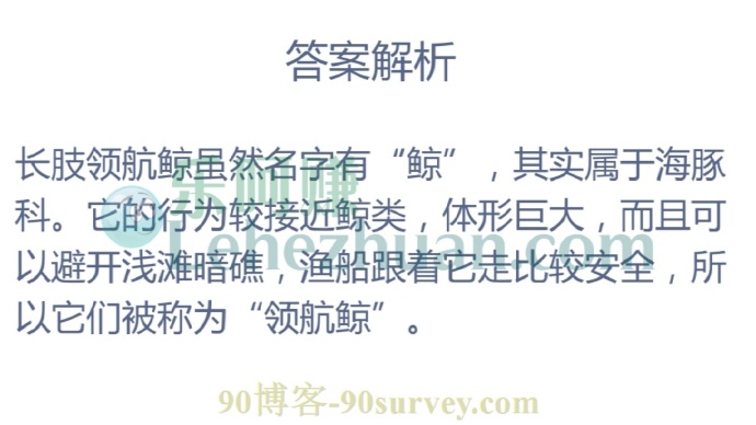 “领航鲸”之所以能领航,是因为它们能够?