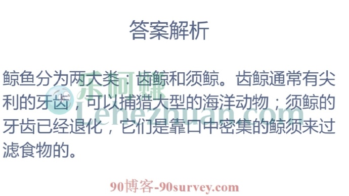 鲸鱼都有尖利的牙齿吗?