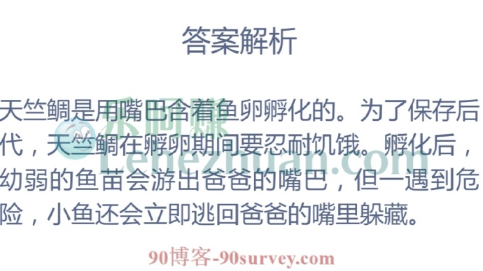 哪种海洋鱼类是在爸爸的嘴巴里孵化的?