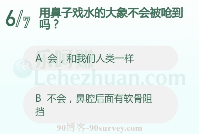 用鼻子戏水的大象不会被呛到吗?
