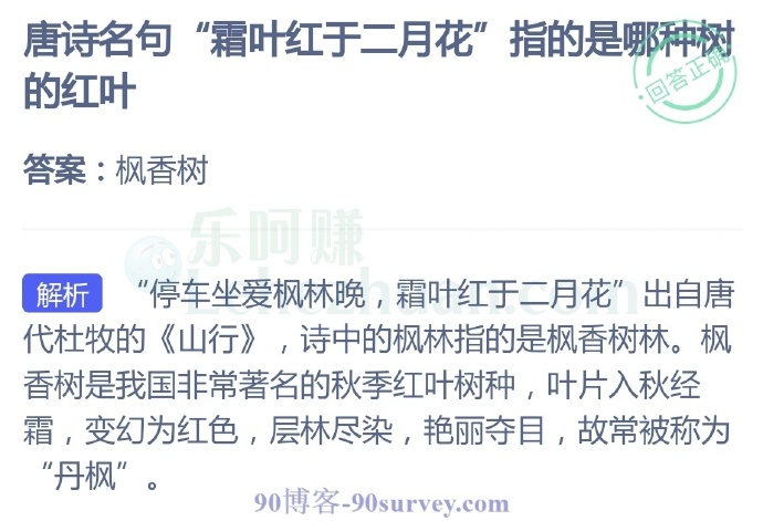 唐诗名句“霜叶红于二月花”指的是哪种树?