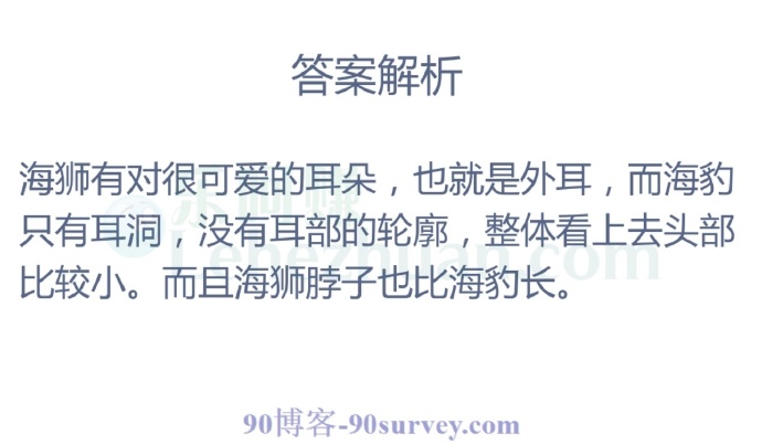 以下哪种海洋动物长着可爱的小耳朵?