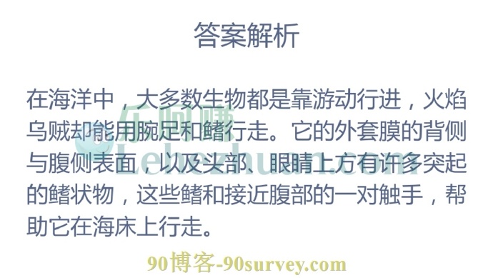 哪种乌贼能用腕足和鳍在海床行走?