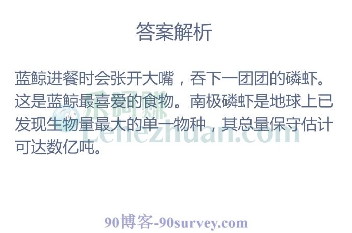 蓝鲸最喜爱的食物是?