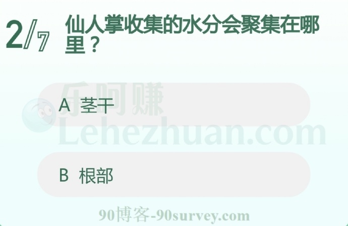仙人掌收集的水分会聚集在哪里?