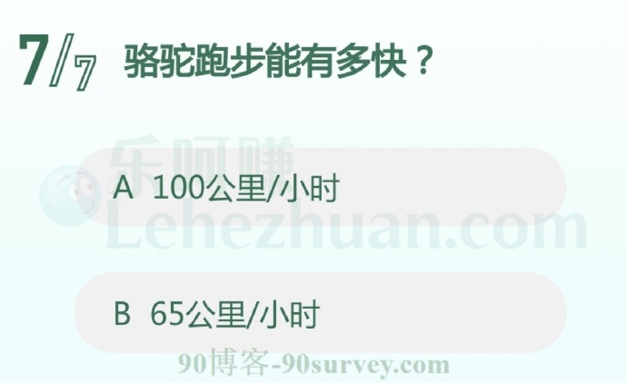 骆驼跑步能有多快?