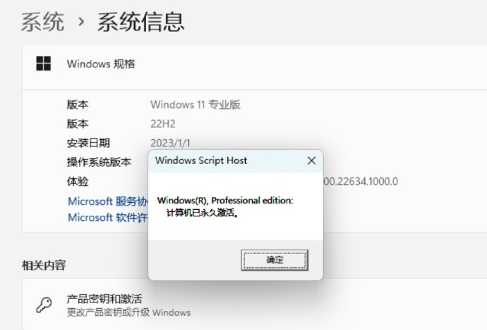 WIN 11 专业版已永久激活 WIN 11 专业版已永久激活
