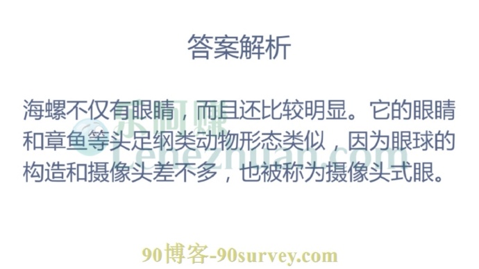 海螺有眼睛吗?