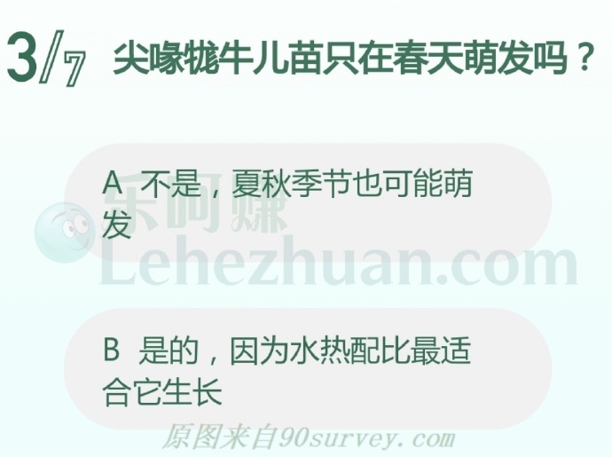 尖喙牻牛儿苗只在春天萌发吗?