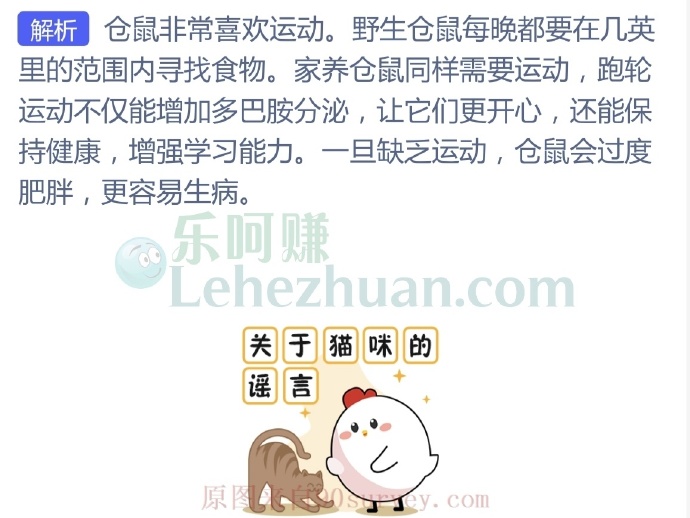 为什么家养的仓鼠喜欢玩跑轮?