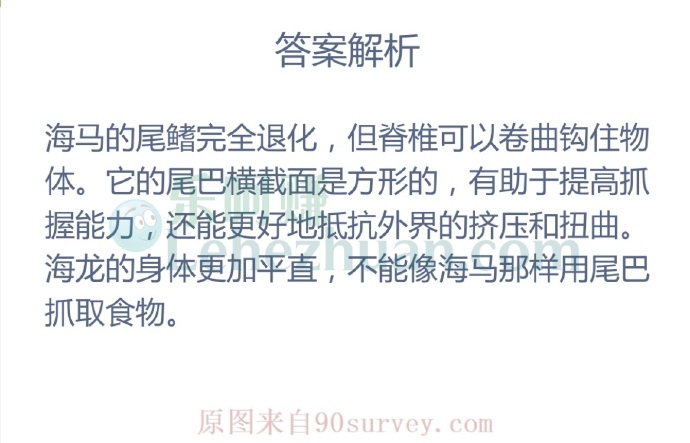 海龙和海马是亲戚,猜猜谁的尾巴能抓取食物?