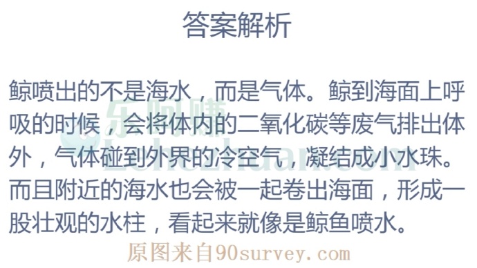 海面上鲸鱼喷出的是水还是气体?