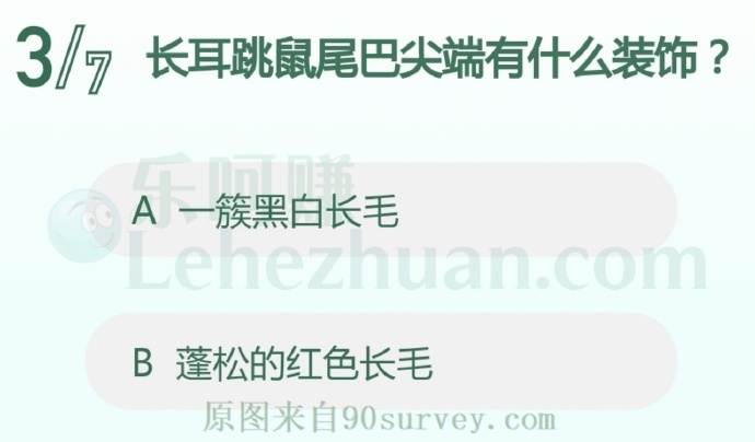 长耳跳鼠尾巴尖端有什么装饰?