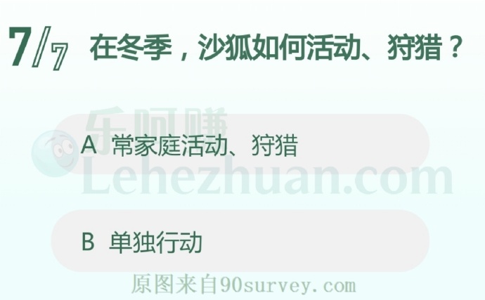 在冬季,沙狐如何活动、狩猎?