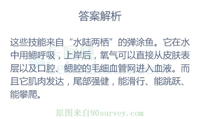 “下得了水,上得了岸,游得了泳,钻得了洞”这是哪种鱼?
