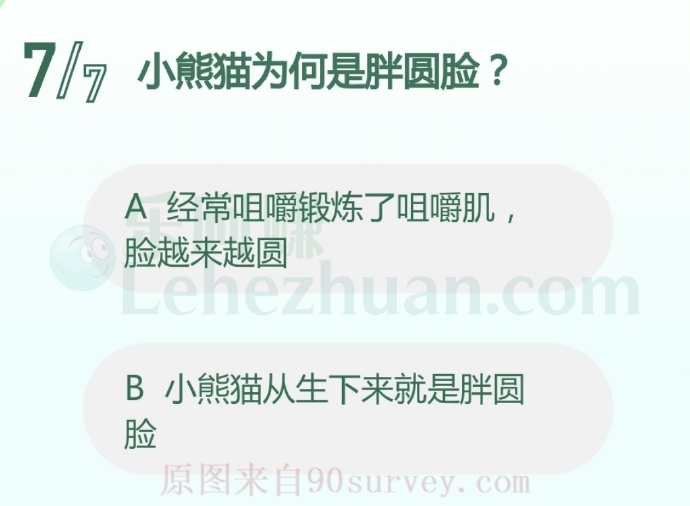 小熊猫经常咀嚼形成了胖圆脸