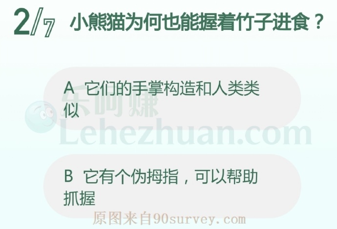 小熊猫为何也能握着竹子进食?