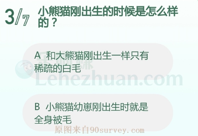 小熊猫刚出生的时候是怎么样的?