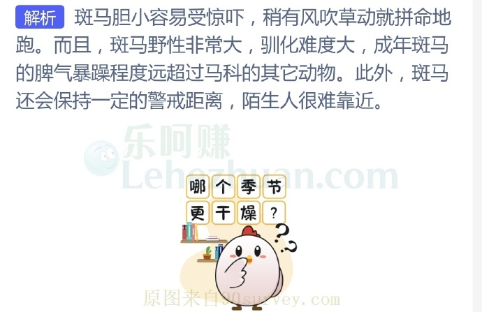斑马跑得也很快,为什么人类没有把它当成坐骑呢?