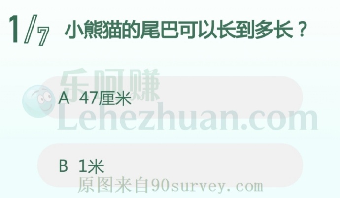 小熊猫的尾巴可以长到多长?