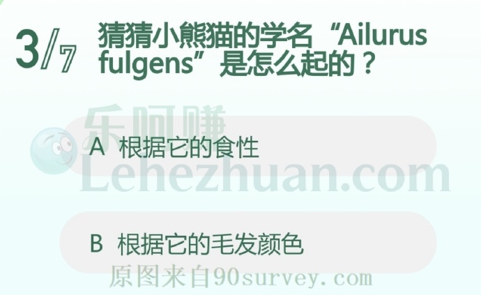 猜猜小熊猫的学名" Ailurus fulgens "是怎么起的?