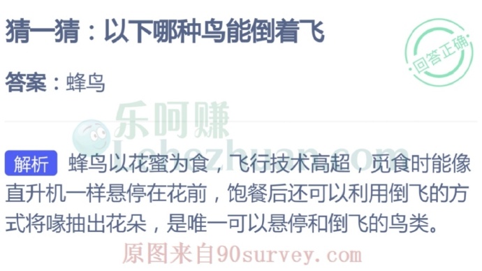 以下哪种鸟能倒着飞?
