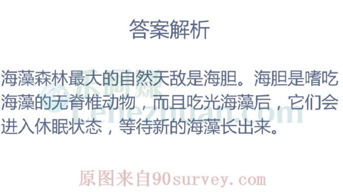 哪种海洋动物是海藻森林的天敌?