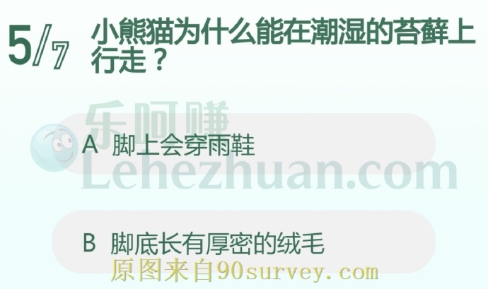 小熊猫为什么能在潮湿的苔藓上行走?