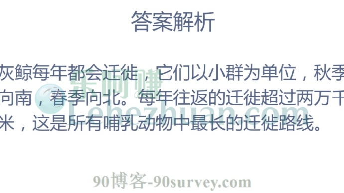 鲸鱼也会像鸟儿一样,随着季节进行迁徙吗?