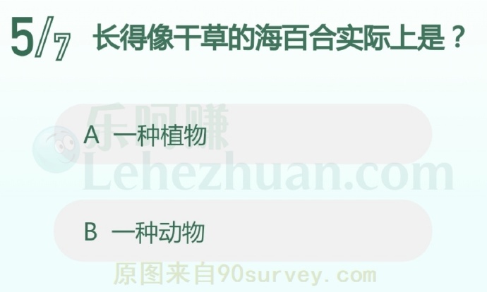 长得像干草的海百合实际上是?