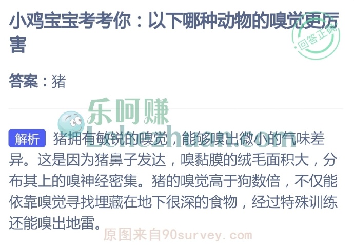 以下哪种动物的嗅觉更厉害?