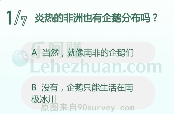 炎热的非洲也有企鹅分布