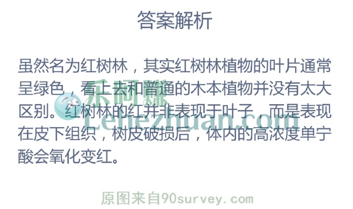 红树林的树叶通常是什么颜色?