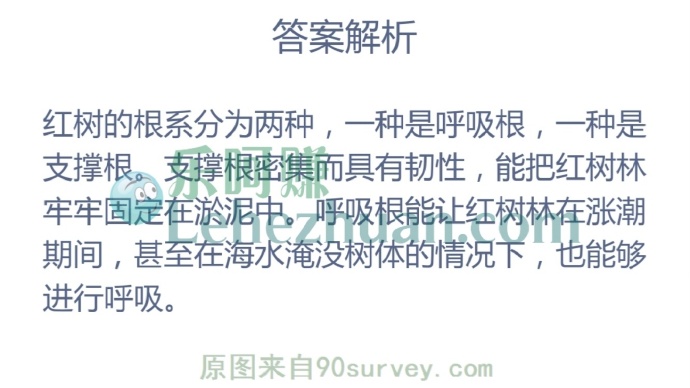 红树林发达的根系有以下哪些作用?