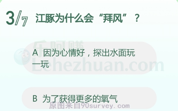 江豚为什么会“拜风”?