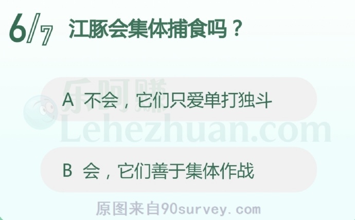江豚会集体捕食吗?