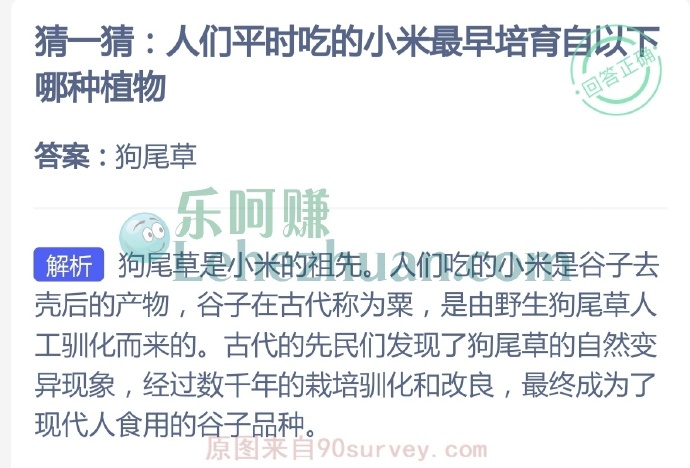 人们平时吃的小米最早培育自哪种植物?