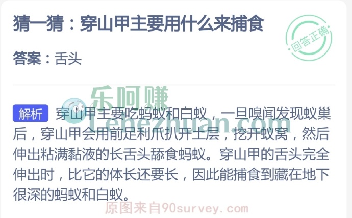 穿山甲主要用什么来捕食?