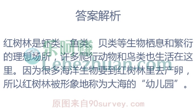 红树林被称为大海的“幼儿园”,主要是因为?