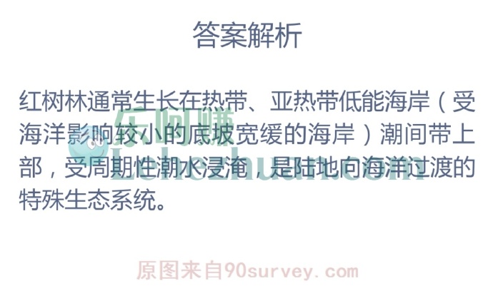 红树林通常生长在以下哪种环境中?